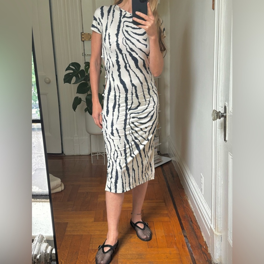 Marcia Zebra Print Midi Dress with Crew Neck